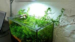 Aerializacija vode v akvariju - metode, ki se uporabljajo pri ljudeh